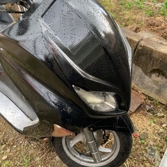 フォルッアmf08 の画像