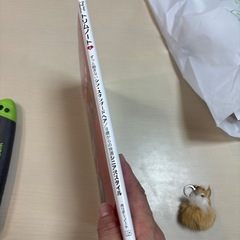 ドッグヘアスタイリングブックの画像