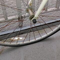 お取り引き者決定。交渉一旦中止です。もらって下さいの画像