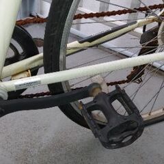 お取り引き者決定。交渉一旦中止です。もらって下さいの画像