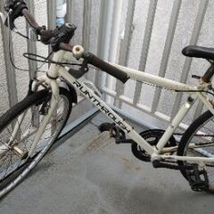 お取り引き者決定。交渉一旦中止です。もらって下さいの画像