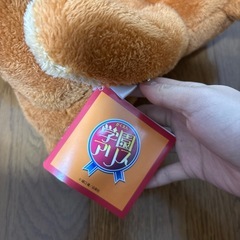 ぬいぐるみぬいぐるみの画像