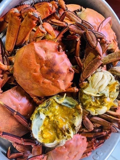 活モクズガニ メスのみ　ちょっと多めで食べ応えの3.0kg ガン汁、カニマキ汁、ズガニ汁　モクズ蟹 ツガニ　山太郎ガニ