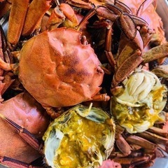 活モクズガニ メスのみ　ちょっと多めで食べ応えの3.0kg ガン汁、カニマキ汁、ズガニ汁　モクズ蟹 ツガニ　山太郎ガニの画像