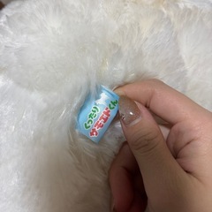 くったりサモエドくん
の画像