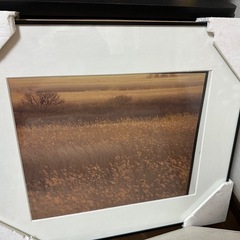 写真額縁の画像