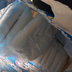 大人用 おむつ 男女兼用 Lサイズの画像