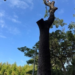 造園師　植木や　庭師ｏの画像