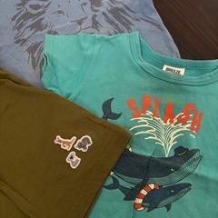 男の子　100 恐竜　ズボンの画像