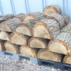 薪　玉切り広葉樹 （2025年11月）の画像