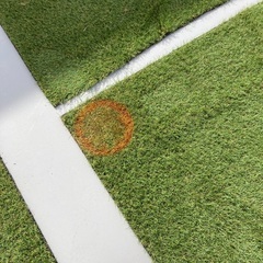 人工芝　幅1m 長さ4m 3本、長さ3m 4本の画像