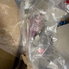 着せ恋フィギュアの画像