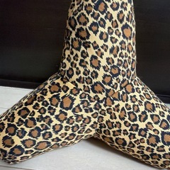 テトラポット★ヒョウ柄 
の画像