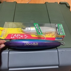 ソルトルアーセットの画像