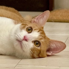 愛嬌爆発！はなわくん🌻