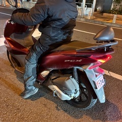 即乗り出し可能‼️ pcx125 jf81 神奈川の画像
