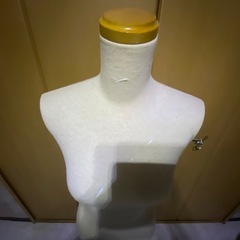 布張り胴体トルソーアパレルディスプレイに！の画像