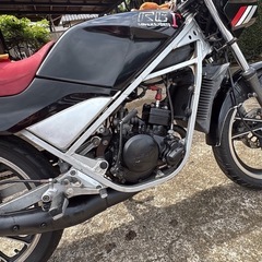 RG50 ガンマ実働
の画像