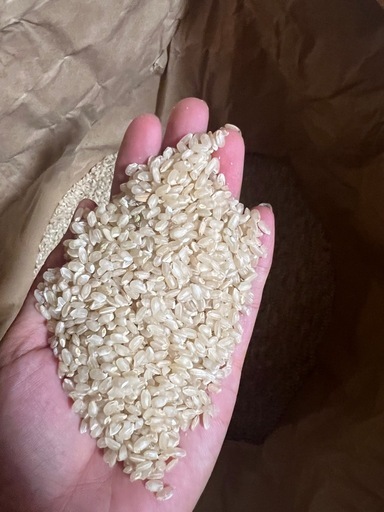 R7 玄米コシヒカリ　お米