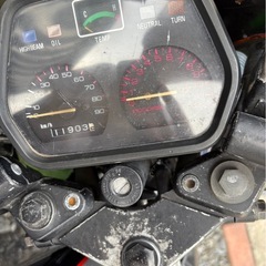 RG50 ガンマ実働
の画像