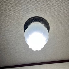 階段下の照明
の画像