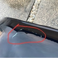 TERZO ルーフキャリア、ボックス、スキー用の画像