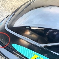 TERZO ルーフキャリア、ボックス、スキー用の画像