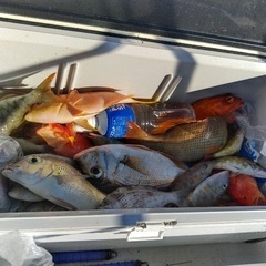 釣り　仕掛け　流し釣り　石垣の画像