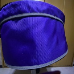 犬猫ペット用カート　分離型　美品　の画像