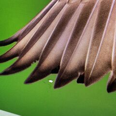 7025J★GD242TCAB★NEC製LAVIE 液晶 一体型 PC★第7世代Core i3★液晶訳あり★HDD　500GB★メモリ8GB★Win11★Officeの画像