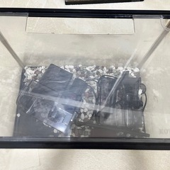 水槽とモーターなどの画像