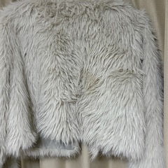 ファーコートの画像