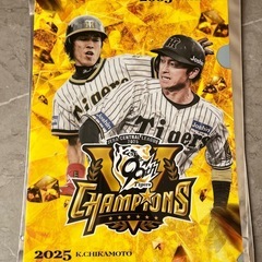 【交換希望】阪神タイガース優勝記念クリアファイル 不動のリ…