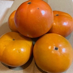 ふゆ柿、じろう柿【5個】②の画像
