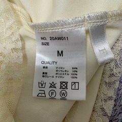 クリーム色のレースのブラウス
の画像