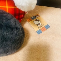(受け渡し予定者とお話中)新品タグ付 ハローキティ BIGぬいぐるみの画像