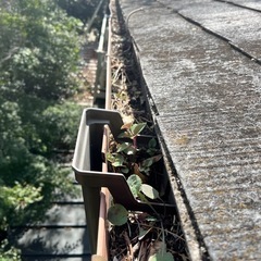 【地域密着】雨樋掃除・詰まり解消します！点検も無料！