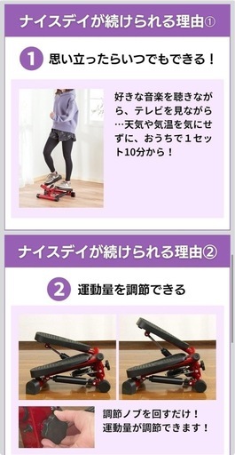 健康ステッパー ナイスデイ（専用ハンドル付き）