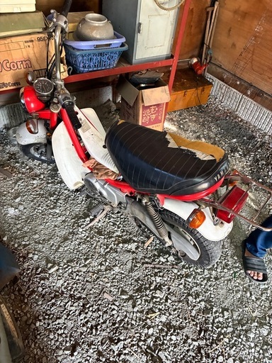 商談中14日　YAMAHAチャッピー