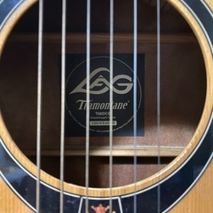 アコースティックギター　アコギ　Tramontane　すぐに弾ける！の画像