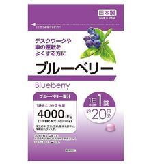 視力回復サプリメント「ブルーベリー」ビタミン ポリフェノール配合の画像