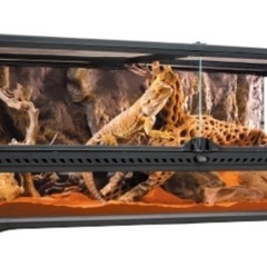 グラステラリウム 9030の画像