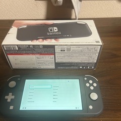Nintendo Switch Lite グレー 本体の画像