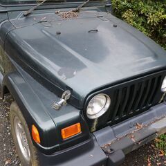 2004y(H16) ジープ ラングラー サハラ ハードトップ クライスラー GH-TJ40Sの画像