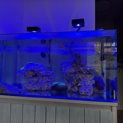 水槽90Cm  中もすべて一緒に引き取ってくれる方の画像