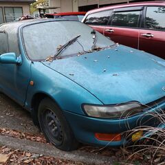 1994y(H6) セラ スーパーライブサウンド E-EXY10の画像