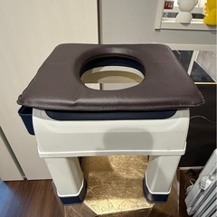 ✩.*˚美品✩.*˚お家でよもぎ蒸しセットの画像