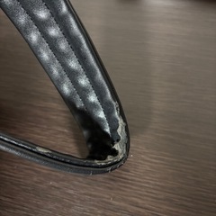 値引き不可Vivienne Westwood リュックの画像