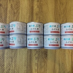 AIKOちゃん鰯缶10缶&銚子産ぶり10缶の画像