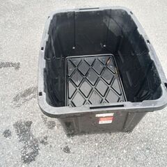 メダカの飼育などにの画像